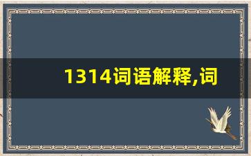 1314词语解释,词语解释大全