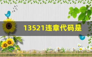 13521违章代码是什么意思,1025违章代码是什么意思