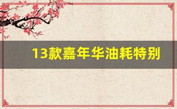 13款嘉年华油耗特别高,14年福特嘉年华二手车多少钱