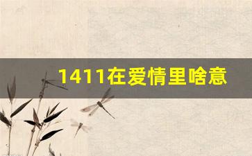 1411在爱情里啥意思,842代表爱情啥意思