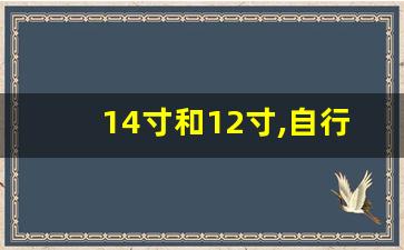 14寸和12寸,自行车12寸和14寸哪个大