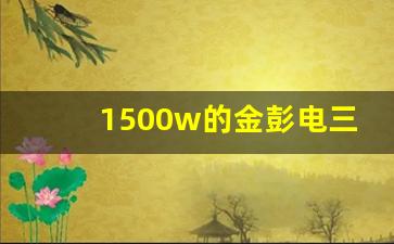 1500w的金彭电三轮多少钱,金彭2023最新款电三轮