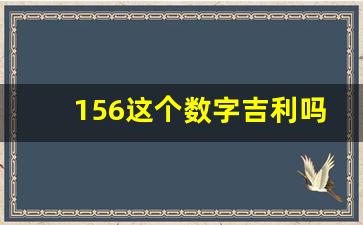 156这个数字吉利吗,156号段一般什么人用