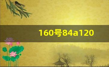160号84a120斤可穿