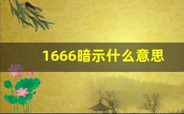 1666暗示什么意思,数字1666在不同文化中的含义