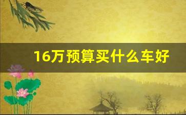 16万预算买什么车好