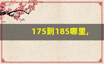 175到185哪里,175在185哪个部位