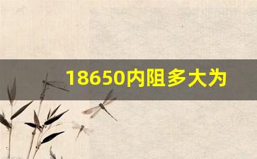 18650内阻多大为最好,18650一般放几年就坏了