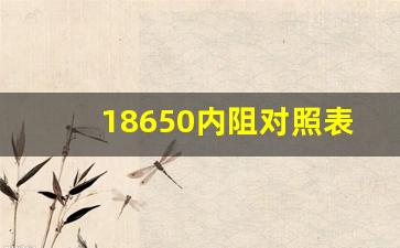 18650内阻对照表,18650内阻多大为最好