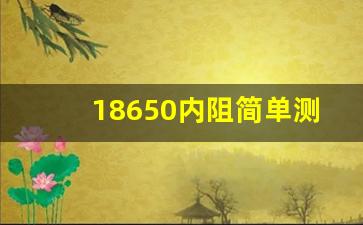 18650内阻简单测试方法,18650怎样区分是动力电池