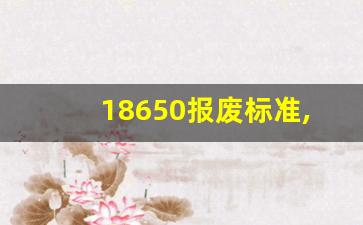 18650报废标准,18650不用能放几年