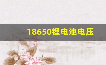 18650锂电池电压低于多少时为损坏,3.7v锂电池最低电压