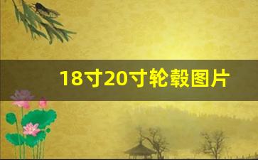 18寸20寸轮毂图片对比,18寸轮毂好还是20寸轮毂好