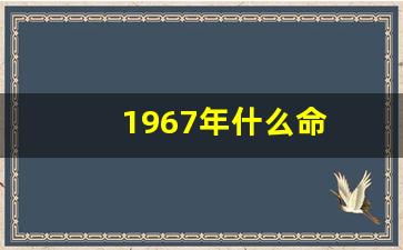 1967年什么命