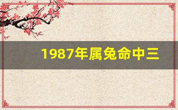 1987年属兔命中三劫