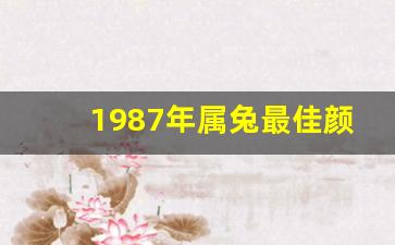 1987年属兔最佳颜色,87年属兔36岁有一灾