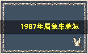 1987年属兔车牌怎么选,87结尾的车牌号好吗