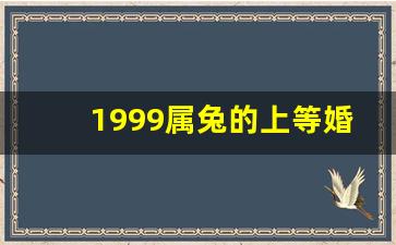 1999属兔的上等婚配,99属兔哪一年结婚最好