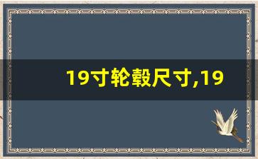 19寸轮毂尺寸,19寸轮毂的车有哪些