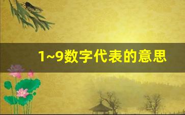 1~9数字代表的意思大全