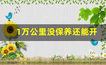 1万公里没保养还能开多久,一万公里不保养会怎么样