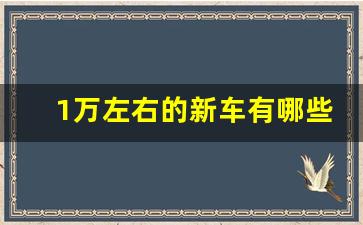 1万左右的新车有哪些,电动小汽车女士1万左右