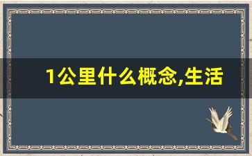 1公里什么概念,生活中的一千米有哪些例子