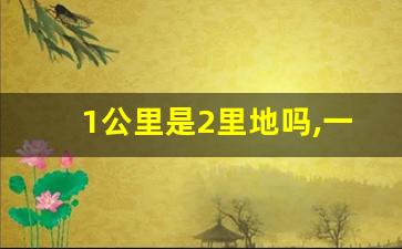 1公里是2里地吗,一千米是几公里