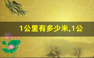 1公里有多少米,1公里几个500米