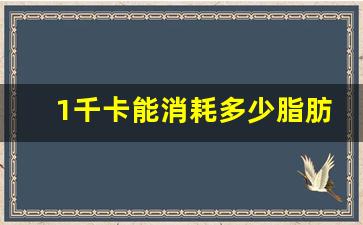 1千卡能消耗多少脂肪,608千卡减多少脂肪