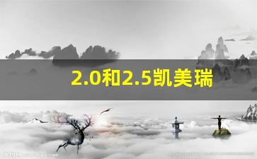 2.0和2.5凯美瑞哪个更值得入手,2023不带颗粒捕捉器的车型