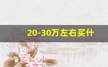 20-30万左右买什么车好,二十到三十万的轿车推荐