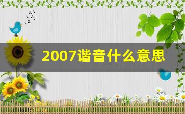 2007谐音什么意思,7的谐音是什么