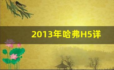 2013年哈弗H5详细配置,全新哈弗H5配置详解