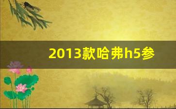 2013款哈弗h5参数,五十铃suv柴油版