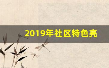 2019年社区特色亮点思路,2019年党支部亮点汇报材料