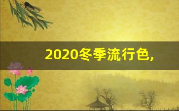 2020冬季流行色,2021秋冬流行色系