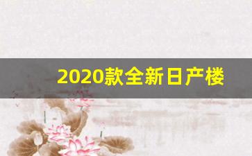 2020款全新日产楼兰,2020款楼兰参数