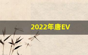 2022年唐EV