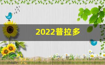 2022普拉多