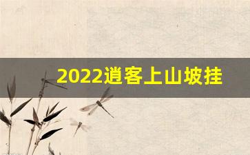 2022逍客上山坡挂啥挡,逍客d档有个+号和-号怎么用