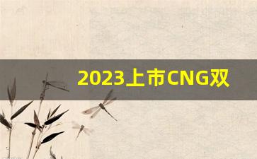 2023上市CNG双燃料全部,2023出租版双燃料