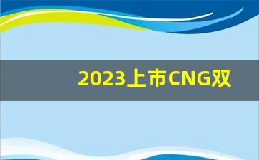 2023上市CNG双燃料全部面包