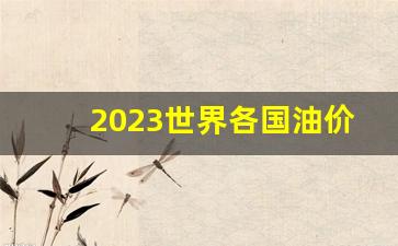 2023世界各国油价一览表图片,美国每升油多少人民币