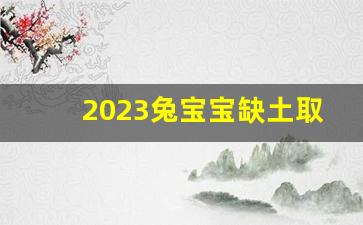 2023兔宝宝缺土取名,兔宝宝命里缺土怎么取名