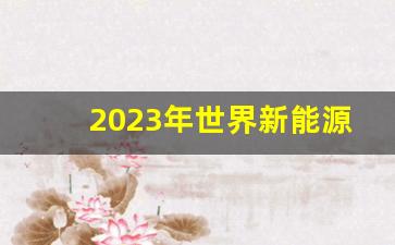 2023年世界新能源汽车销量