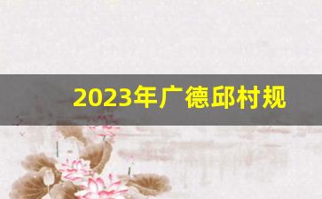 2023年广德邱村规划图,广德未来规划大项目