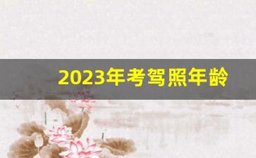 2023年考驾照年龄规定,考驾照最小年龄是多少