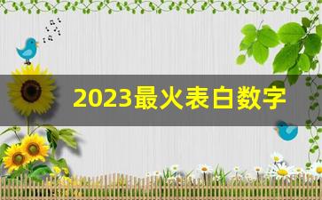 2023最火表白数字,高情商数字表白