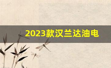 2023款汉兰达油电混合动力,2023款汉兰达四驱豪华版